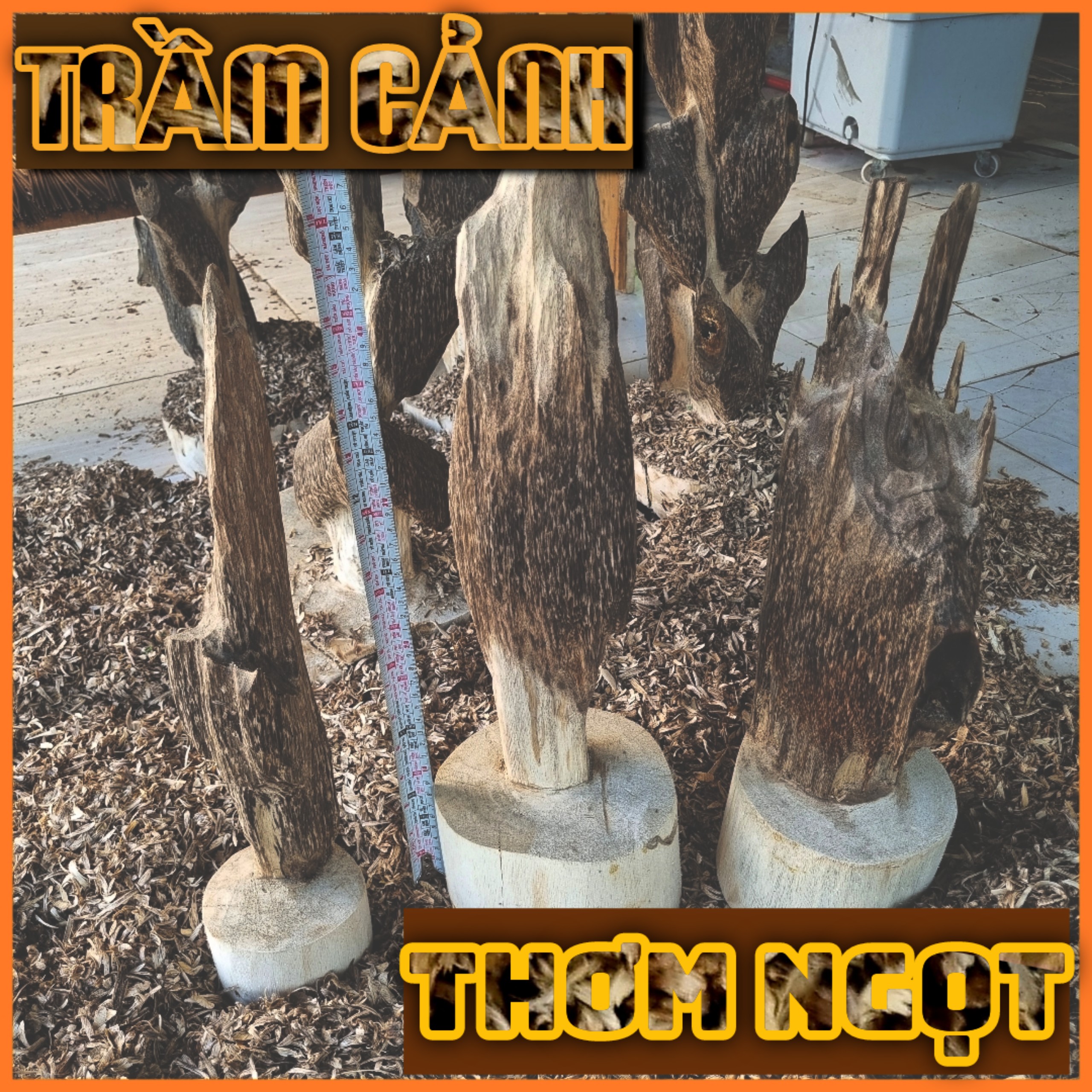 Trầm cảnh hàng Tiên Phước Quảng Nam [xưởng trầm âu lạc]
