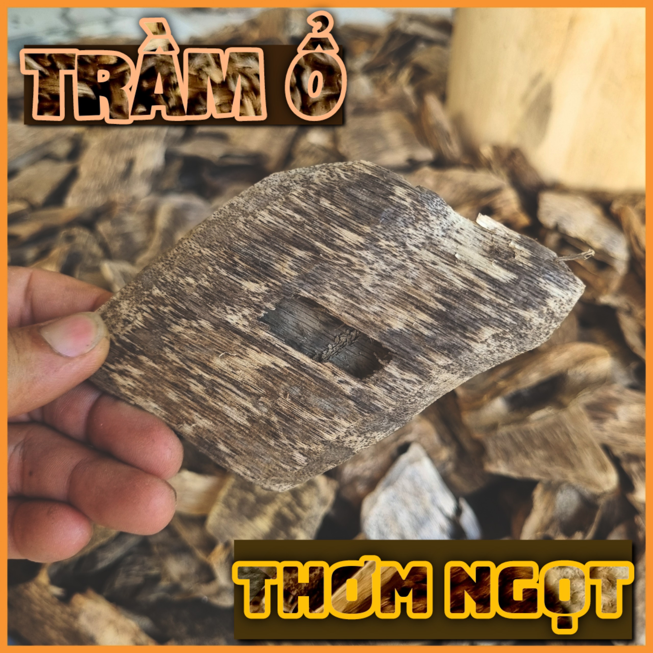 100G Trầm miếng (trầm ổ) sạch hầu loại đặc biệt xông tài lộc [xưởng trầm Âu Lạc]